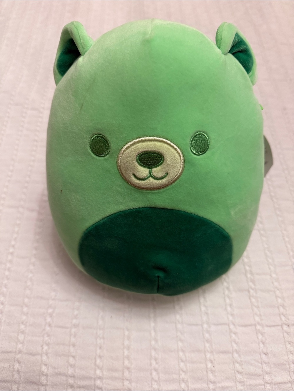 Squishmallows Light Green Gobo Bear Plush with Darker Green Belly